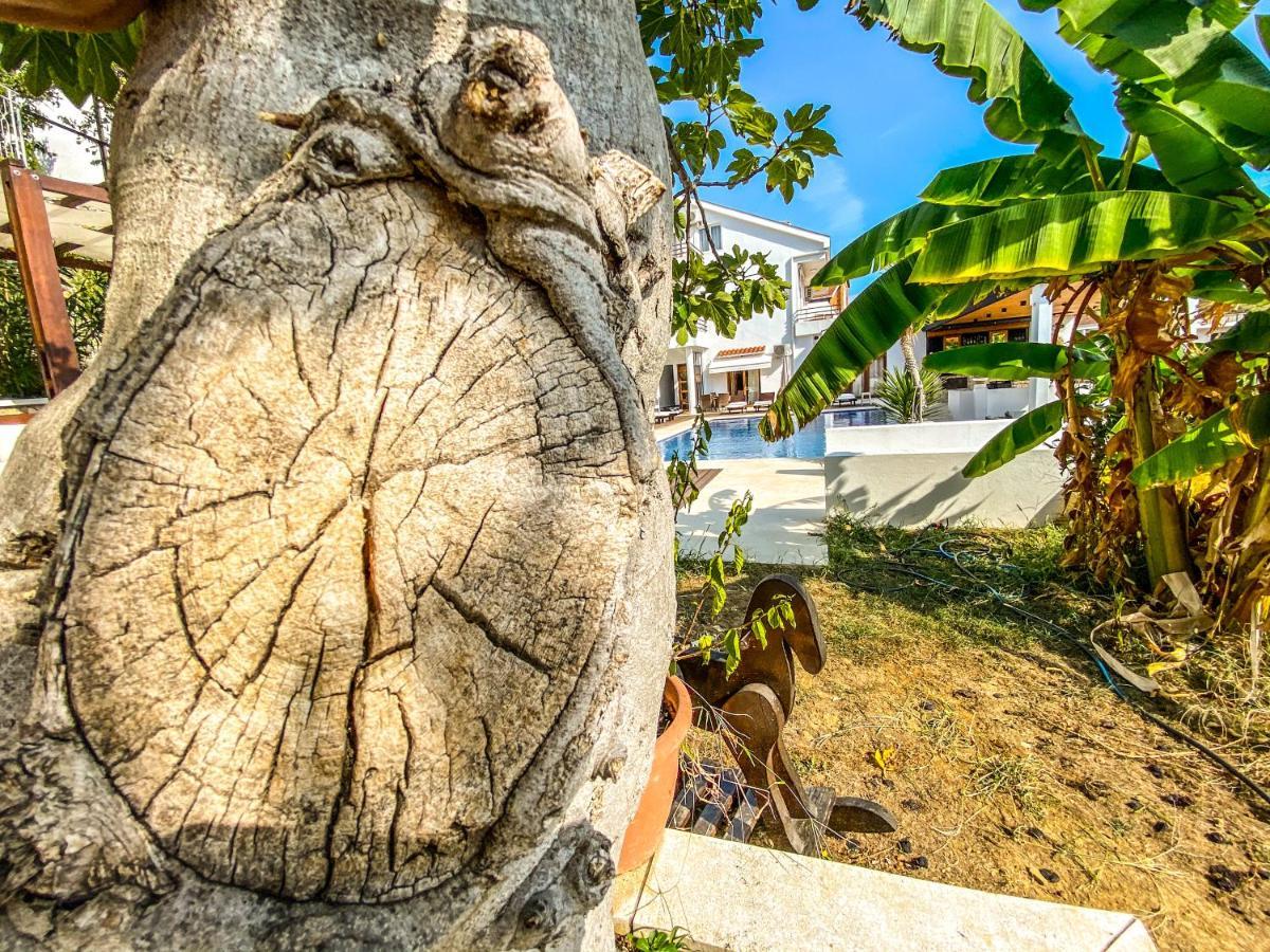 Apartments Secret Garden Ulcinj Bagian luar foto